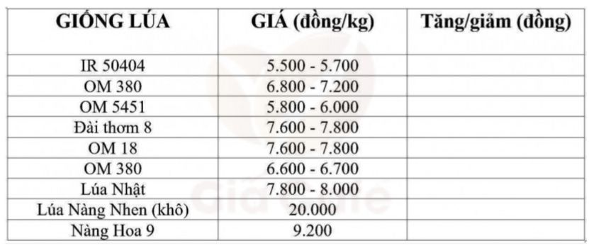 bảng gi&aacute; l&uacute;a 3/2/2025